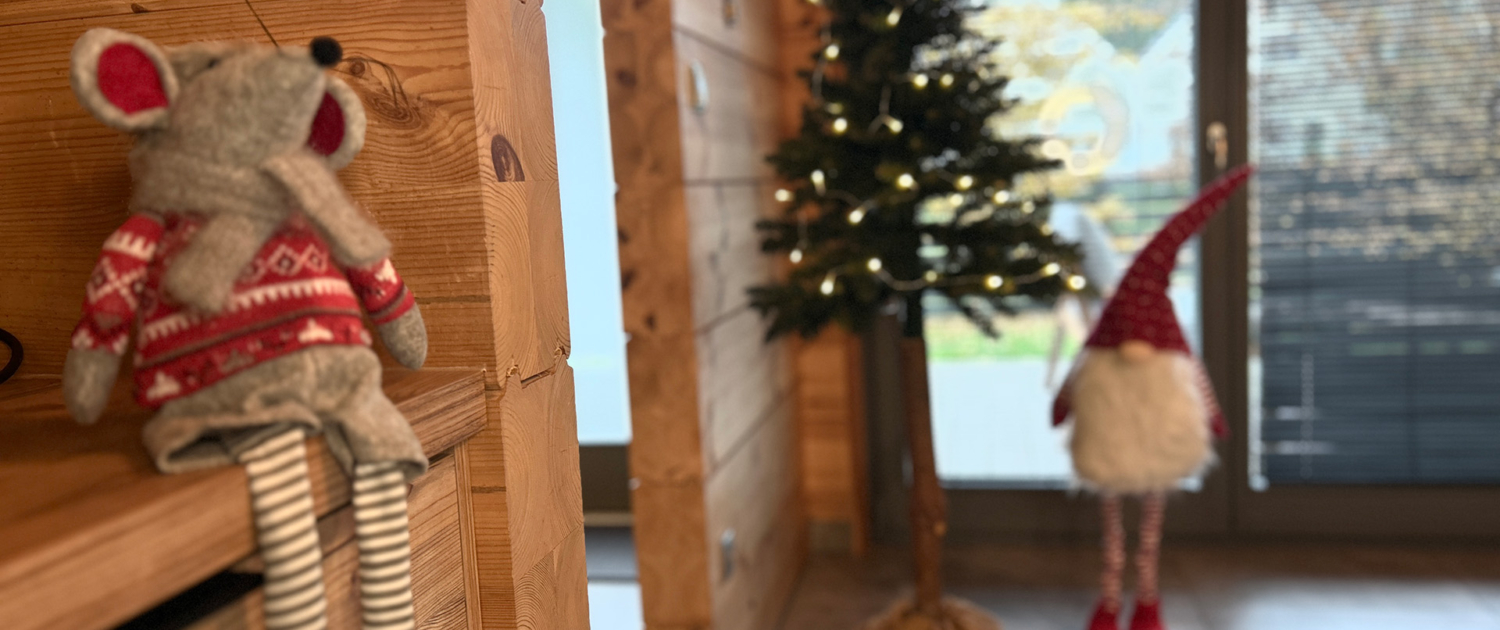 Christmas Naturapart Dziwnow 003